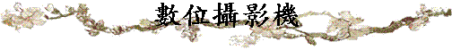 Ʀv