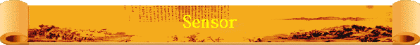 Sensor